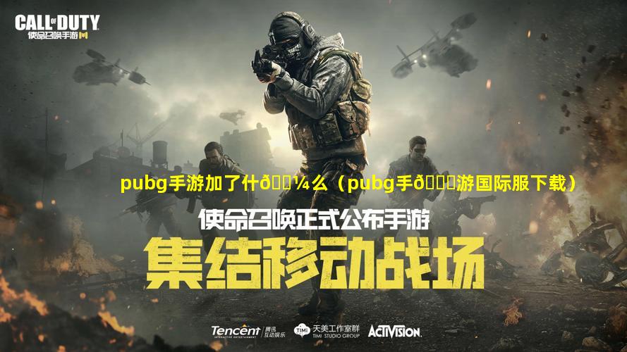 pubg手游加了什🌼么（pubg手🐞游国际服下载）