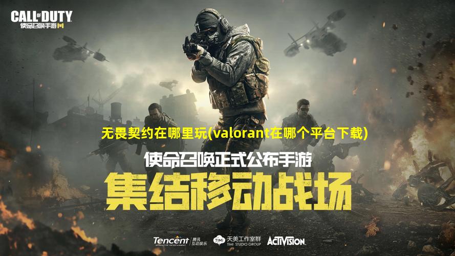 无畏契约在哪里玩(valorant在哪个平台下载)