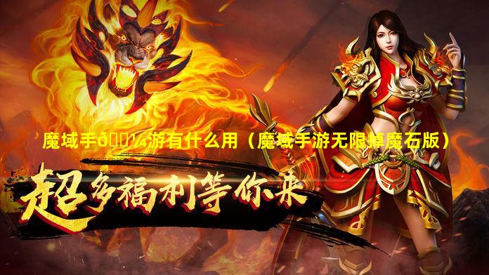 魔域手🌼游有什么用（魔域手游无限掉魔石版）